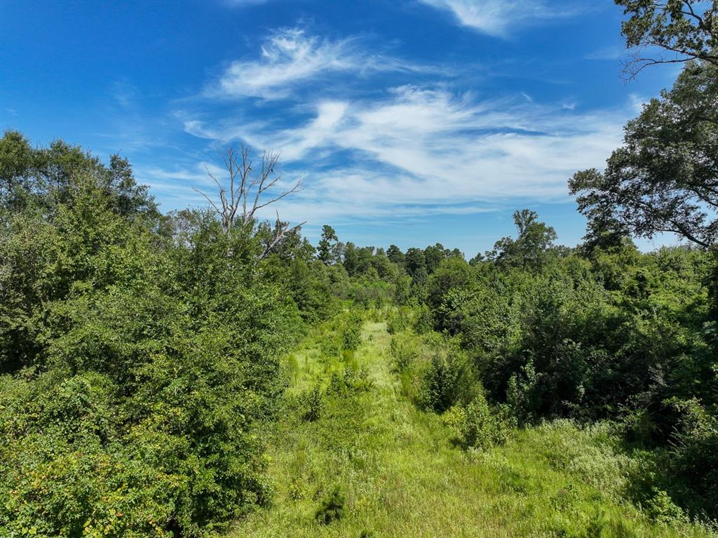01 Us 271, Gladewater, Texas image 10