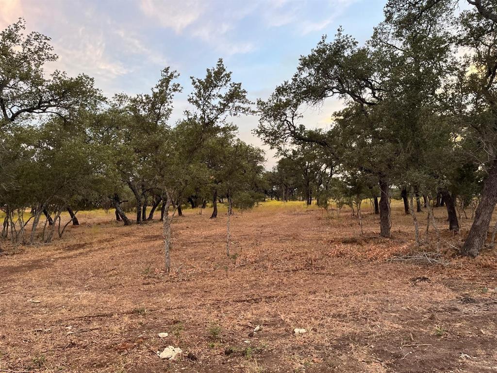 TBD Lot 6 County Road 340 Road, Burnet, Texas image 6