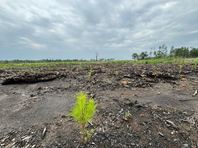 Private Rd, Waskom, Texas image 6