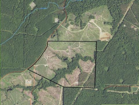 Vacant Land For Sale - TR4-STRICKLAND Private Rd<br/> Harrison County, Waskom, TX 75962