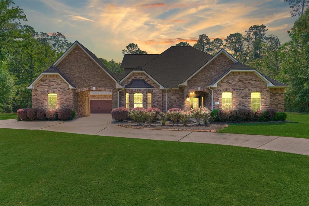 10038 Ramzi Drive, Conroe, Texas image 1