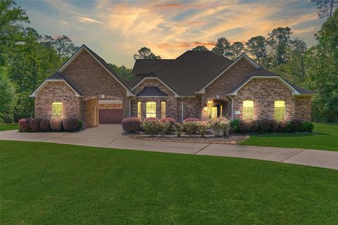 10038 Ramzi Drive Conroe TX 77303