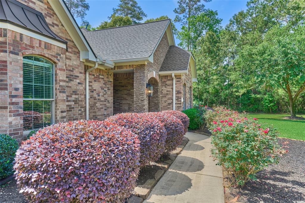 10038 Ramzi Drive, Conroe, Texas image 9
