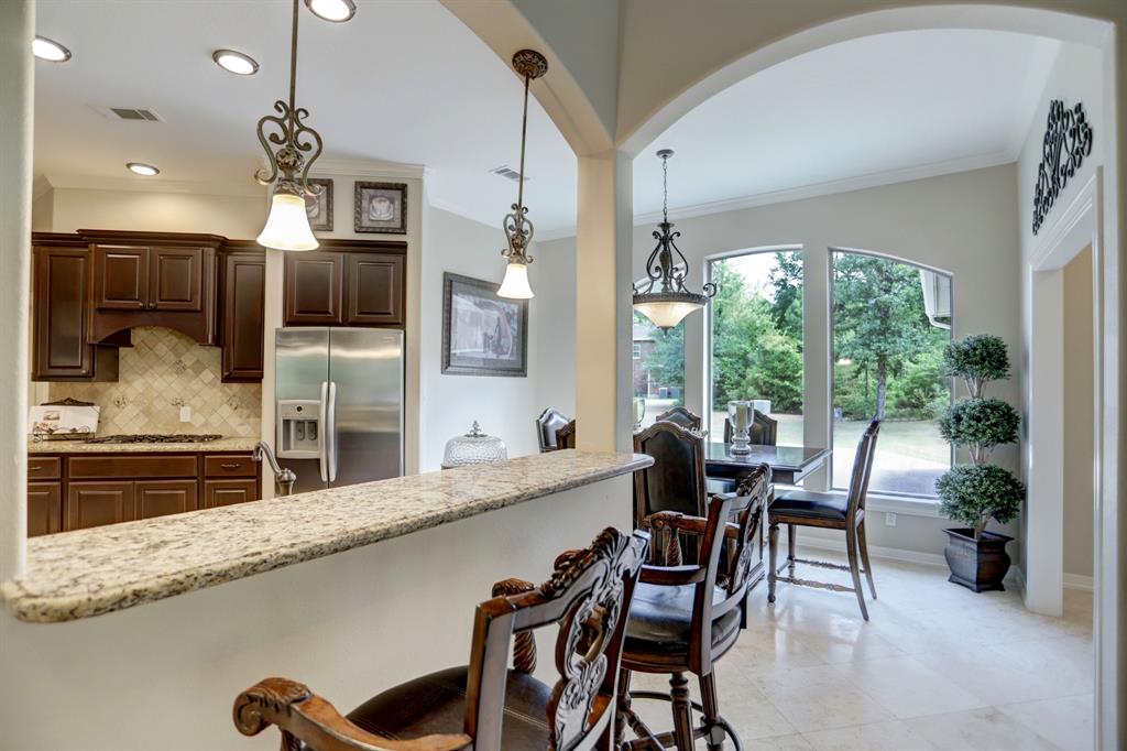 10038 Ramzi Drive, Conroe, Texas image 28