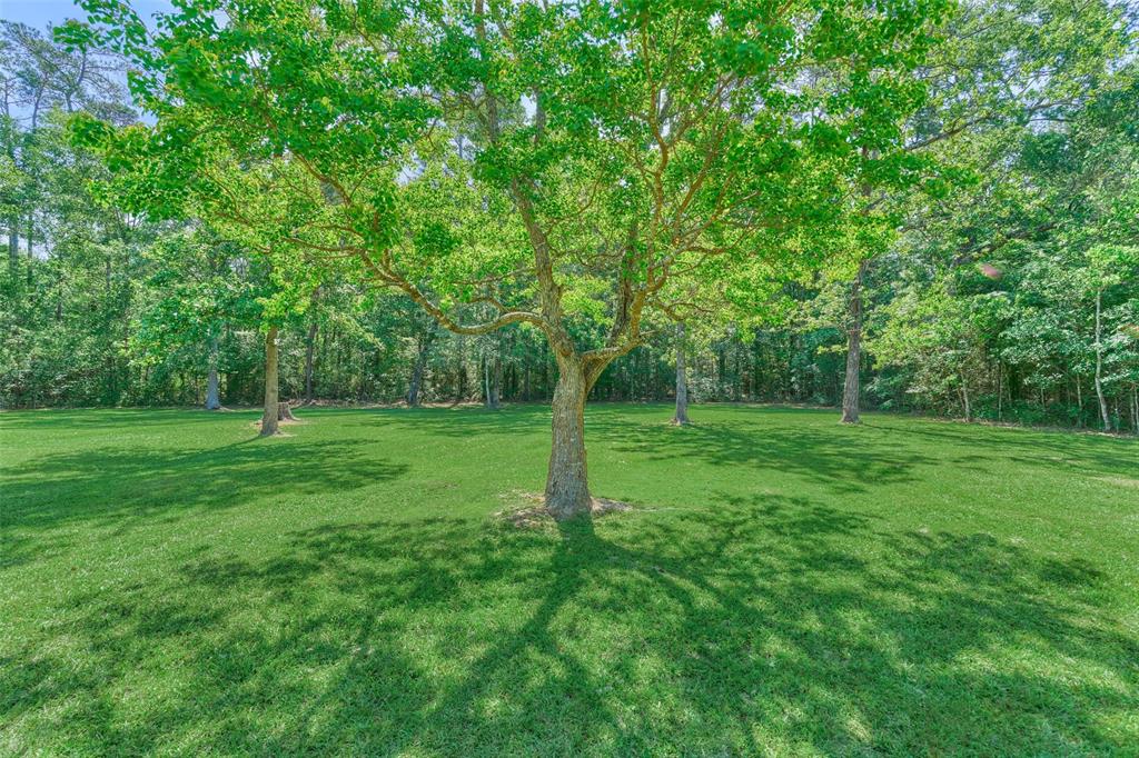 10038 Ramzi Drive, Conroe, Texas image 44