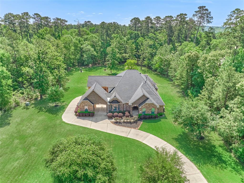 10038 Ramzi Drive, Conroe, Texas image 2
