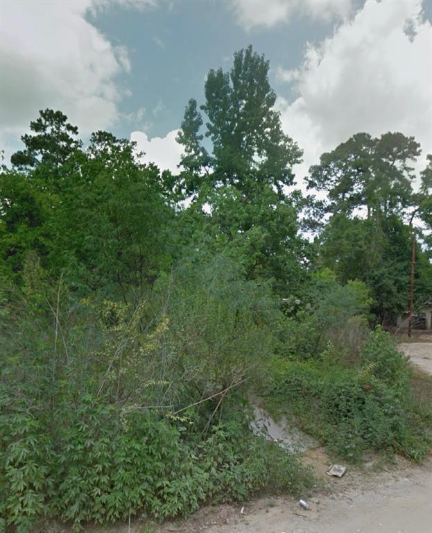 46 Dogwood Lane, Houston, Texas image 1