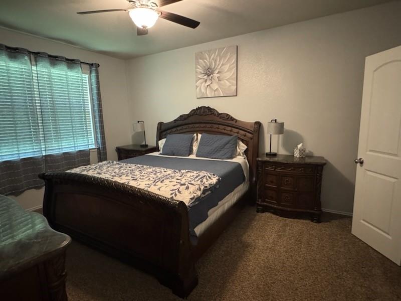 11502 Castle Nugent Court, Conroe, Texas image 9