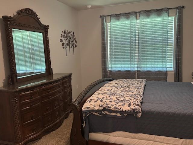 11502 Castle Nugent Court, Conroe, Texas image 10