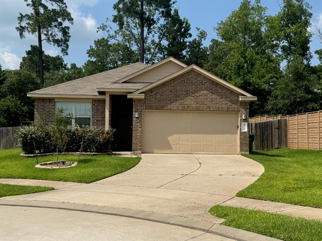 11502 Castle Nugent Court, Conroe, Texas image 1