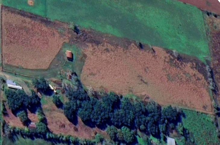 1691 County Road 107, Boling, Texas image 18