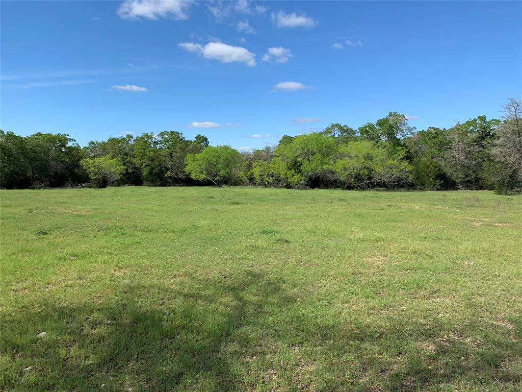 2231 Greens Creek Rd, Ledbetter, Texas image 1