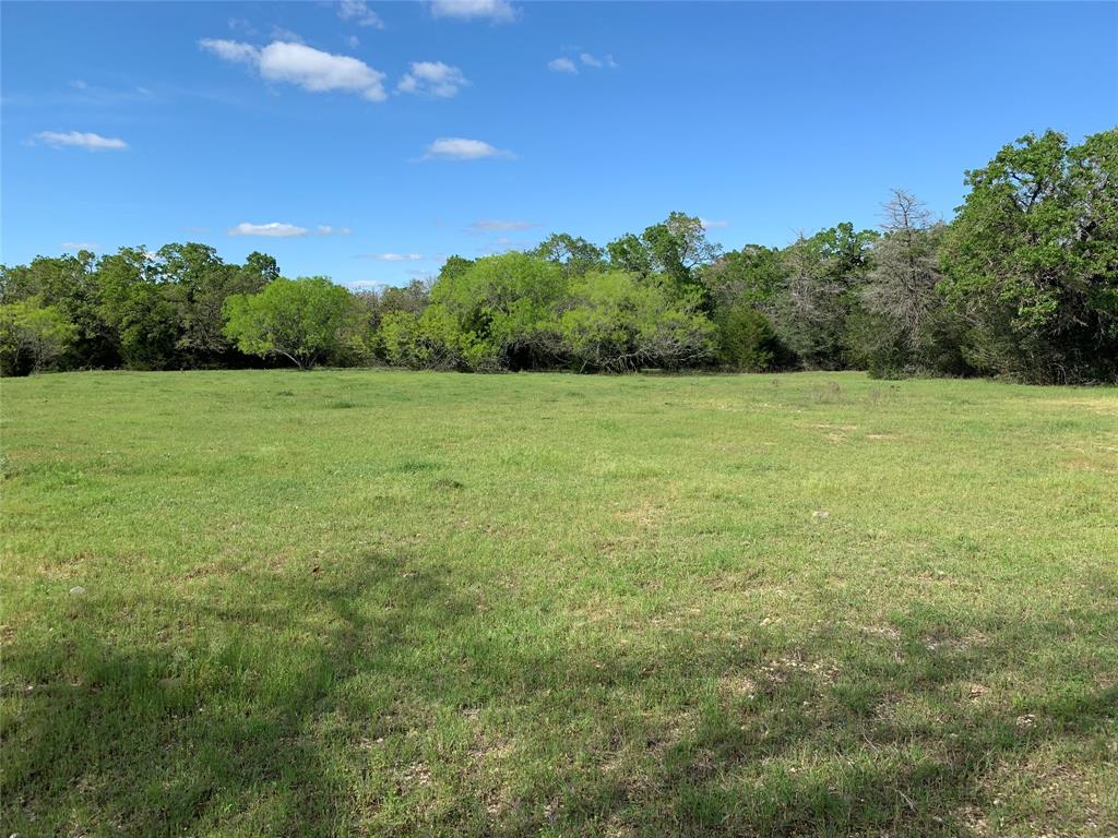 2231 Greens Creek Rd, Ledbetter, Texas image 4