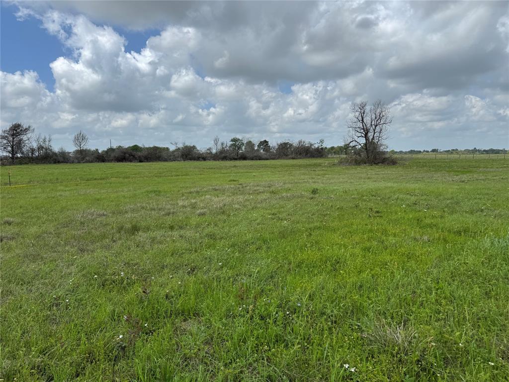 TBD Stanford Place, Waller, Texas image 13