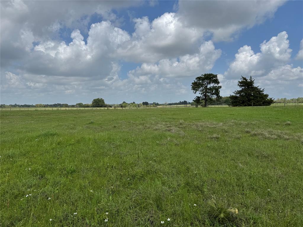 TBD Stanford Place, Waller, Texas image 12