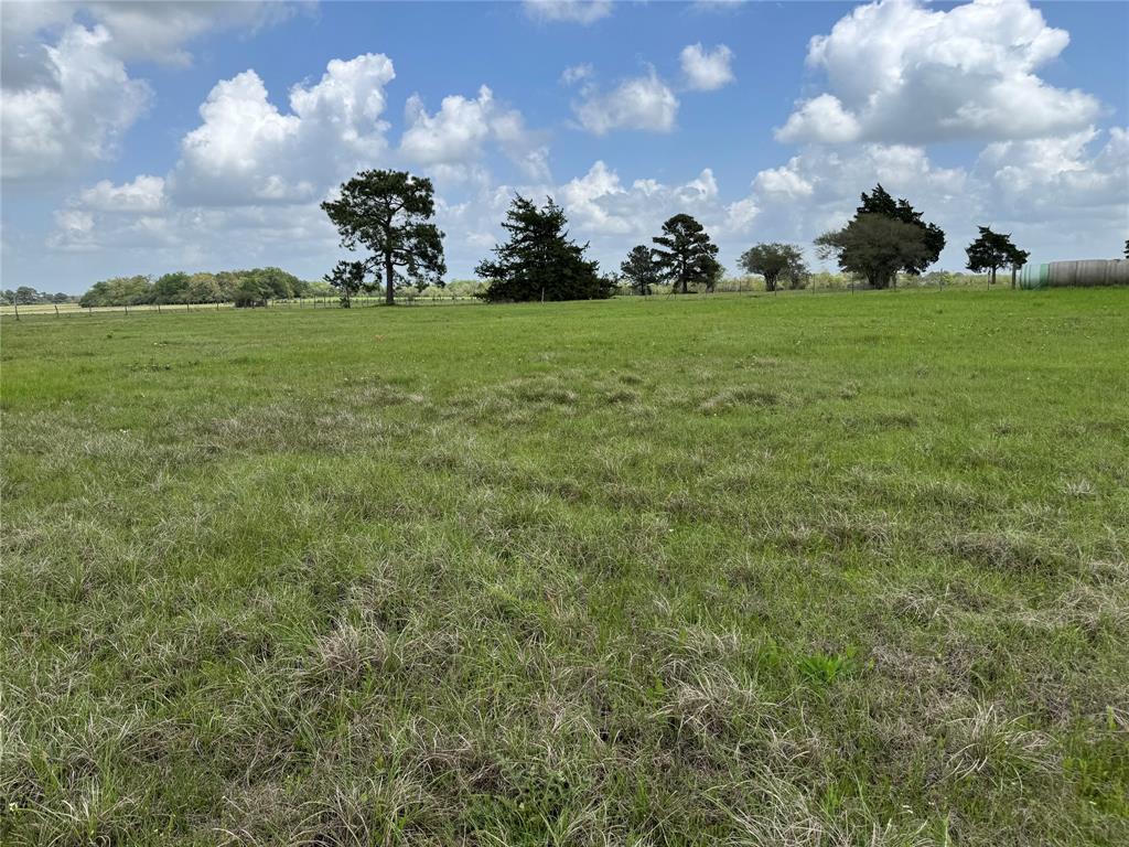 TBD Stanford Place, Waller, Texas image 11