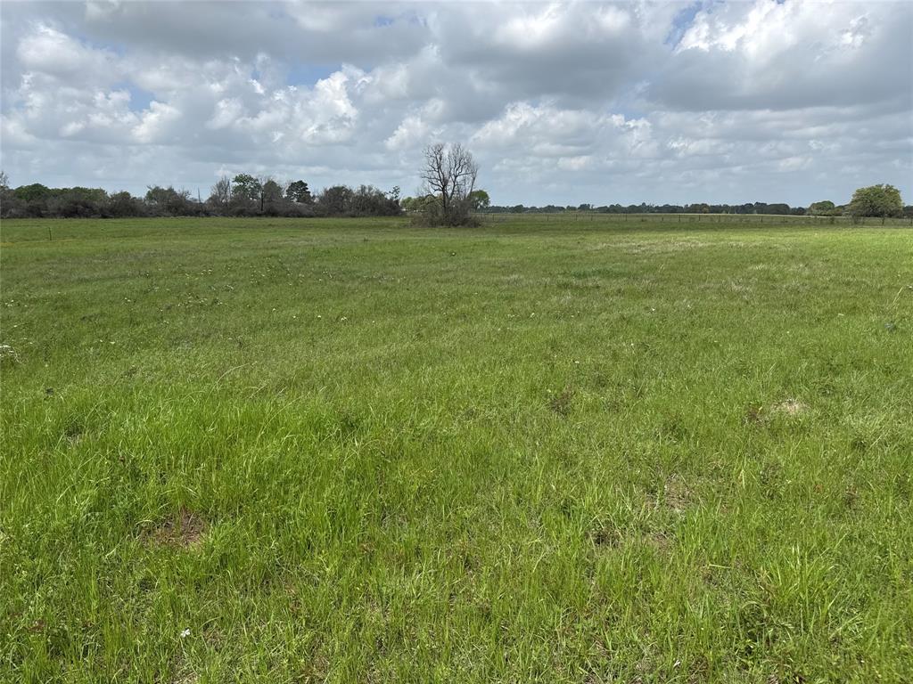 TBD Stanford Place, Waller, Texas image 5