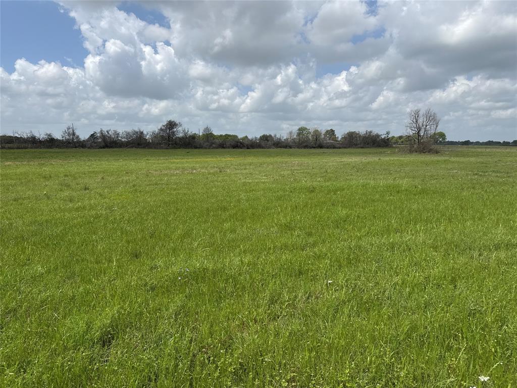 TBD Stanford Place, Waller, Texas image 9