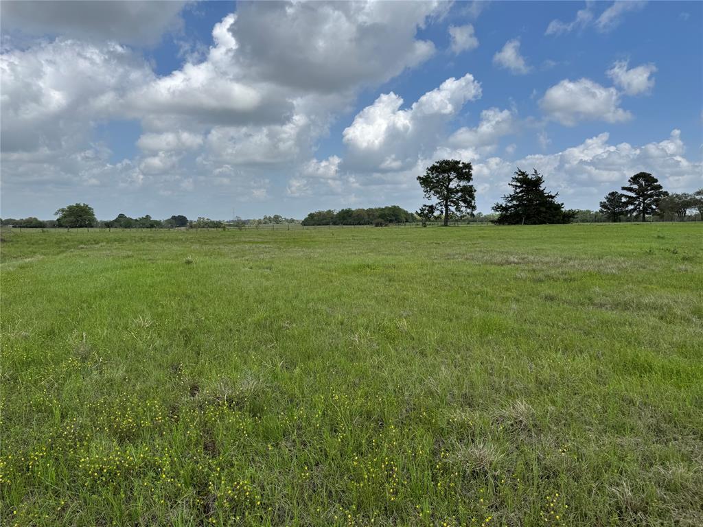 TBD Stanford Place, Waller, Texas image 1