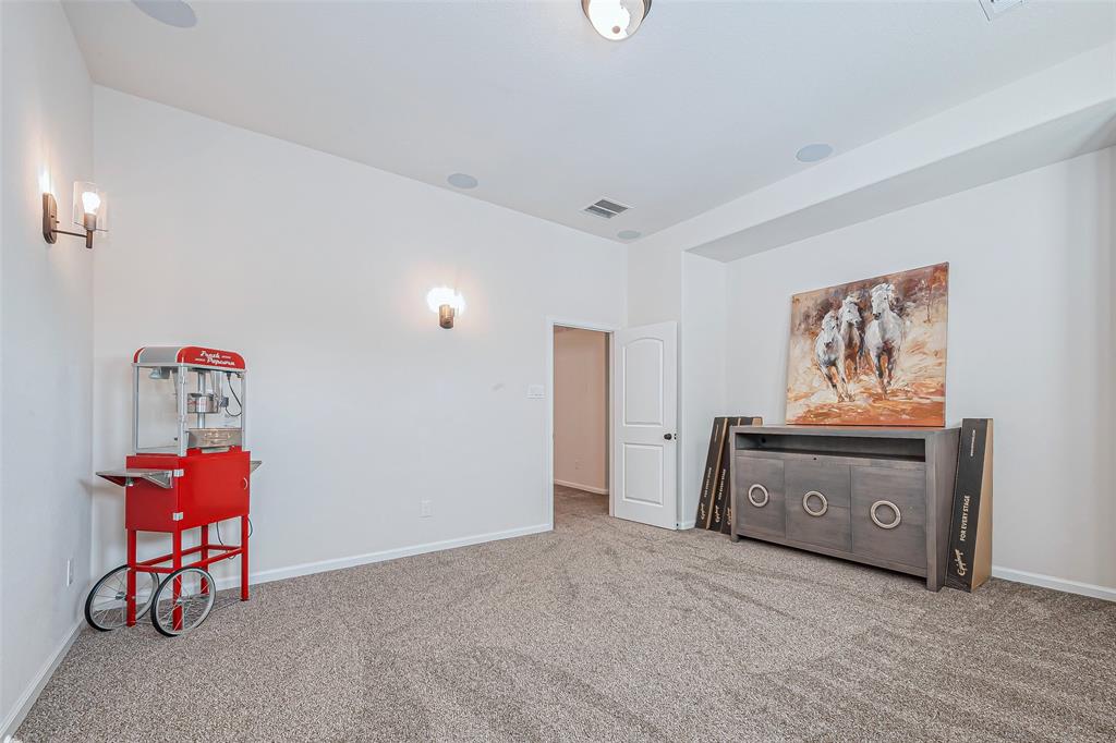 10414 Lake Palmetto Drive, Conroe, Texas image 36