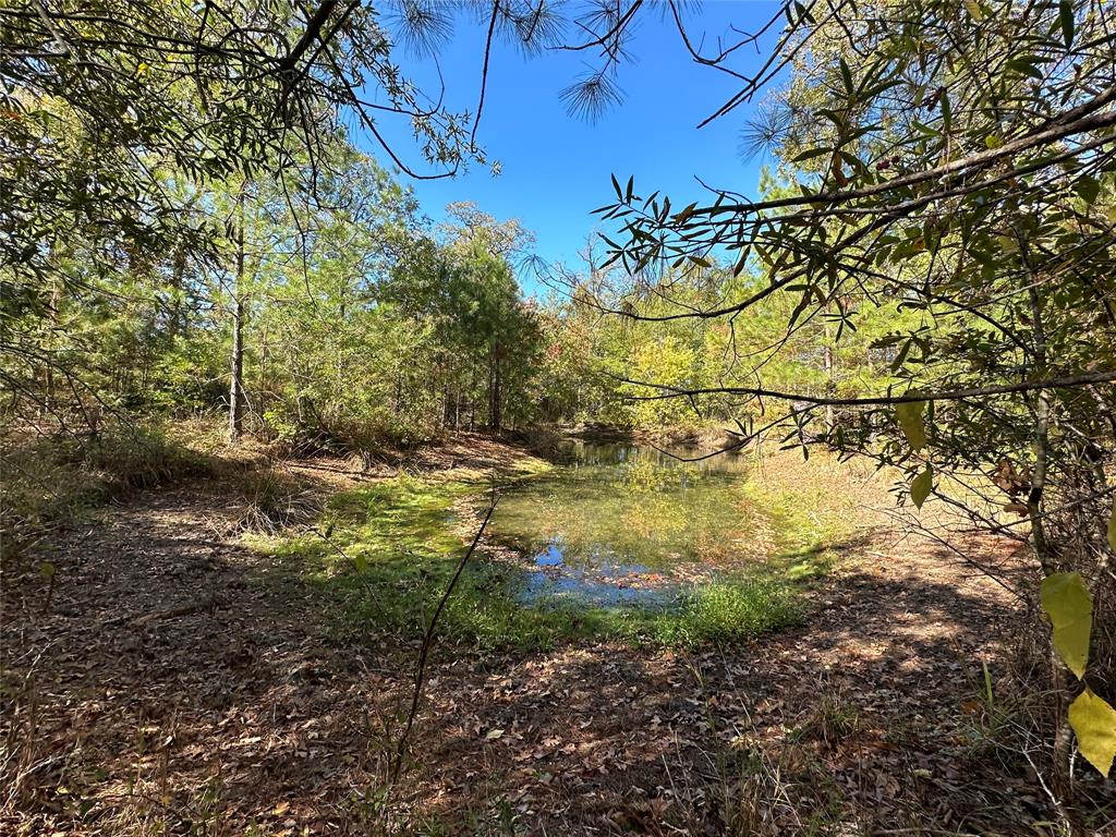 1529 Pinecrest Road, Trinity, Texas image 6