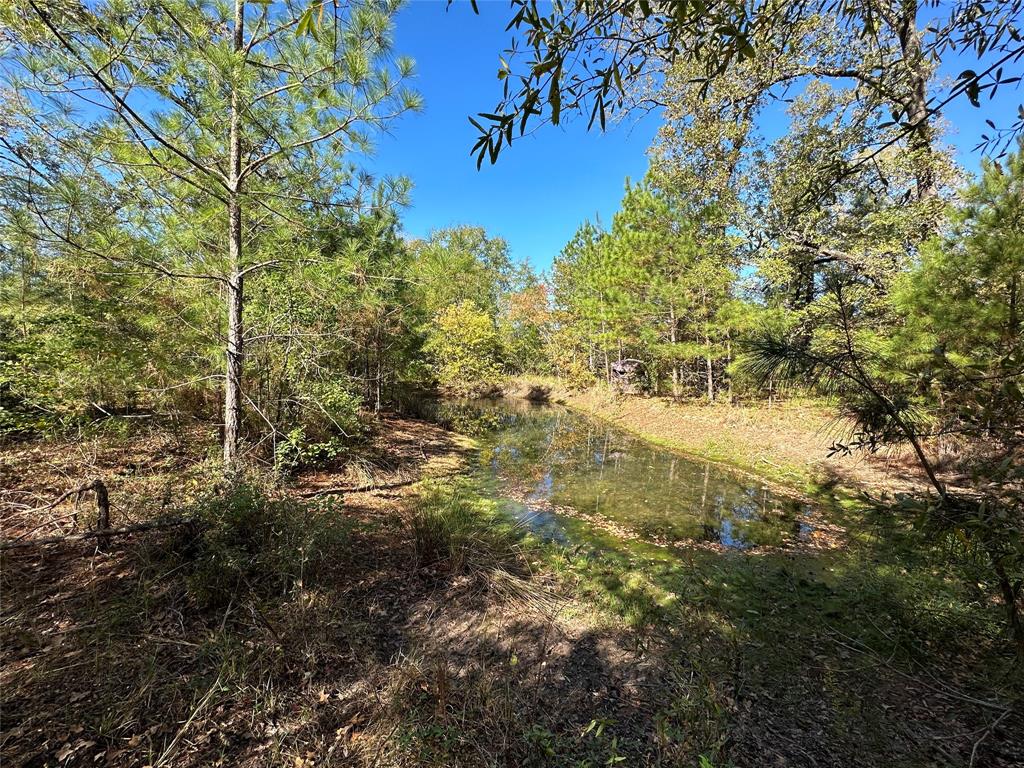1529 Pinecrest Road, Trinity, Texas image 1
