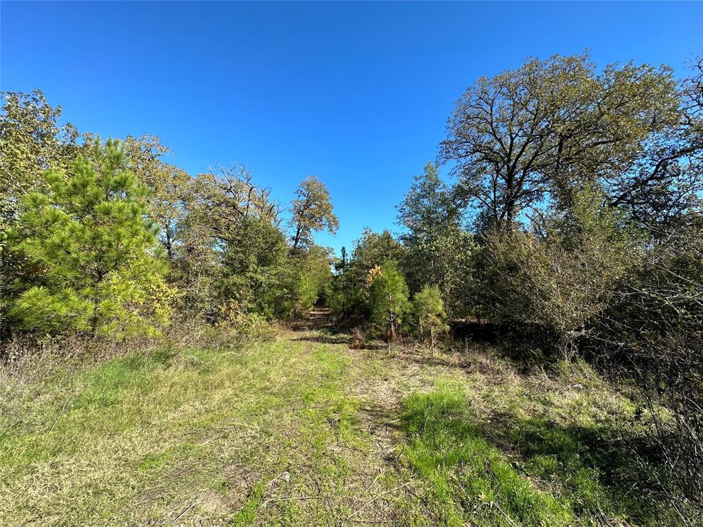 1529 Pinecrest Road, Trinity, Texas image 4