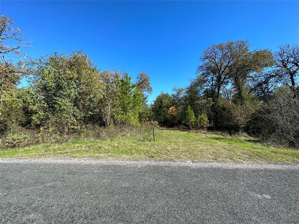 1529 Pinecrest Road, Trinity, Texas image 3