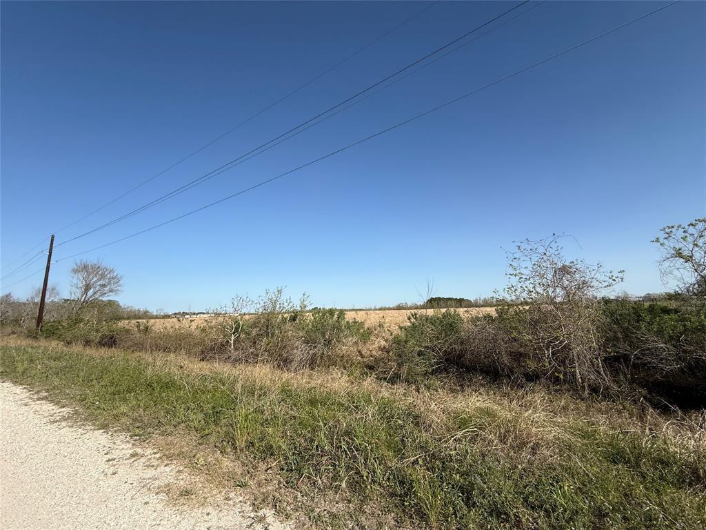 County Road 62, Iowa Colony, Texas image 6
