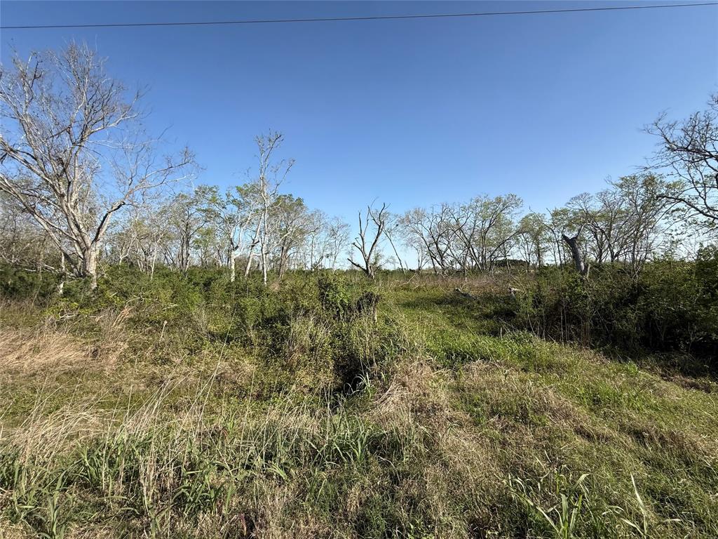 County Road 62, Iowa Colony, Texas image 13