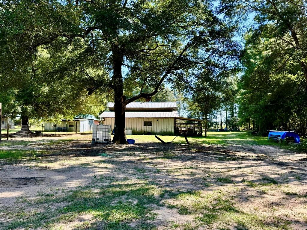 439 County Road 4892, Fred, Texas image 18