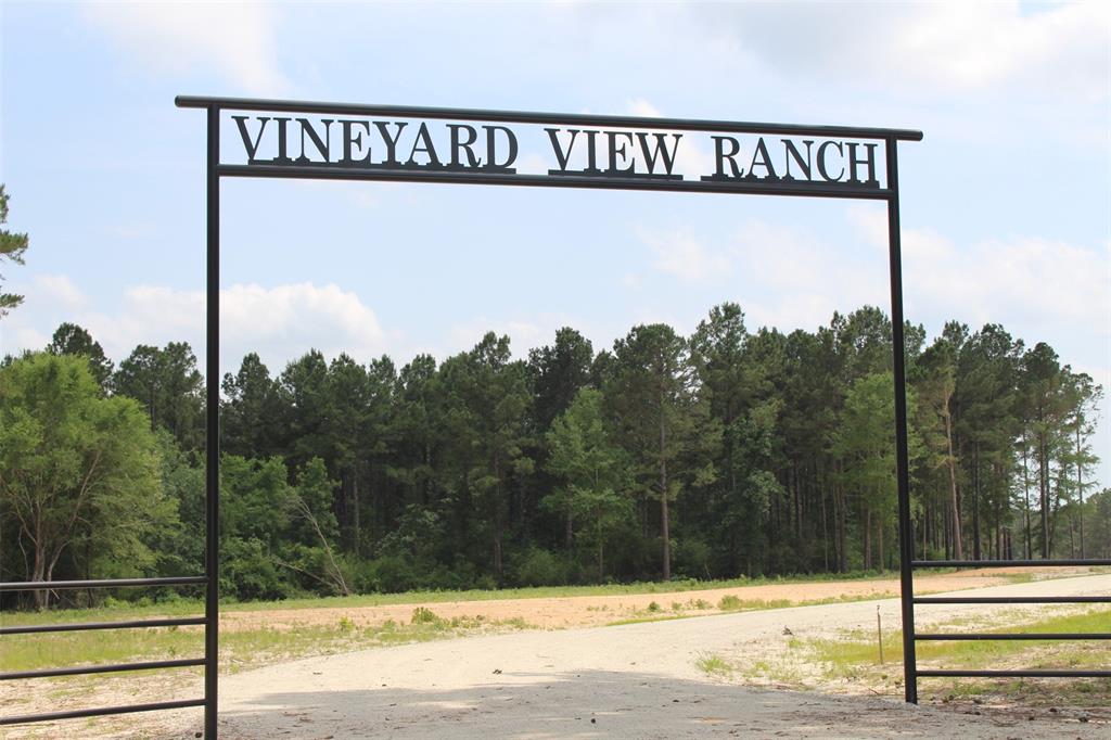 Tract 32 County Road 2170, Grapeland, Texas image 2