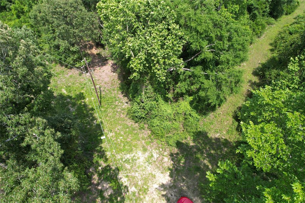 Tract 32 County Road 2170, Grapeland, Texas image 14