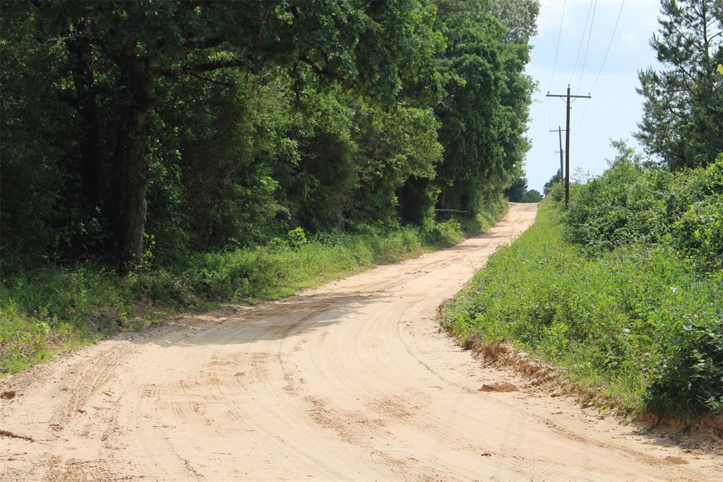 Tract 32 County Road 2170, Grapeland, Texas image 11