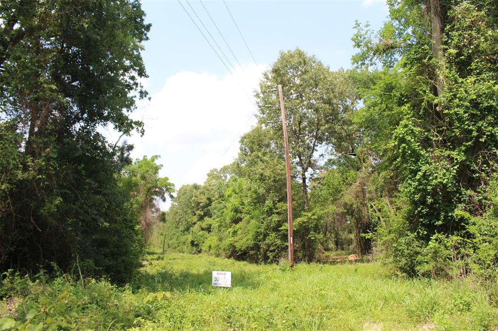 Tract 32 County Road 2170, Grapeland, Texas image 5