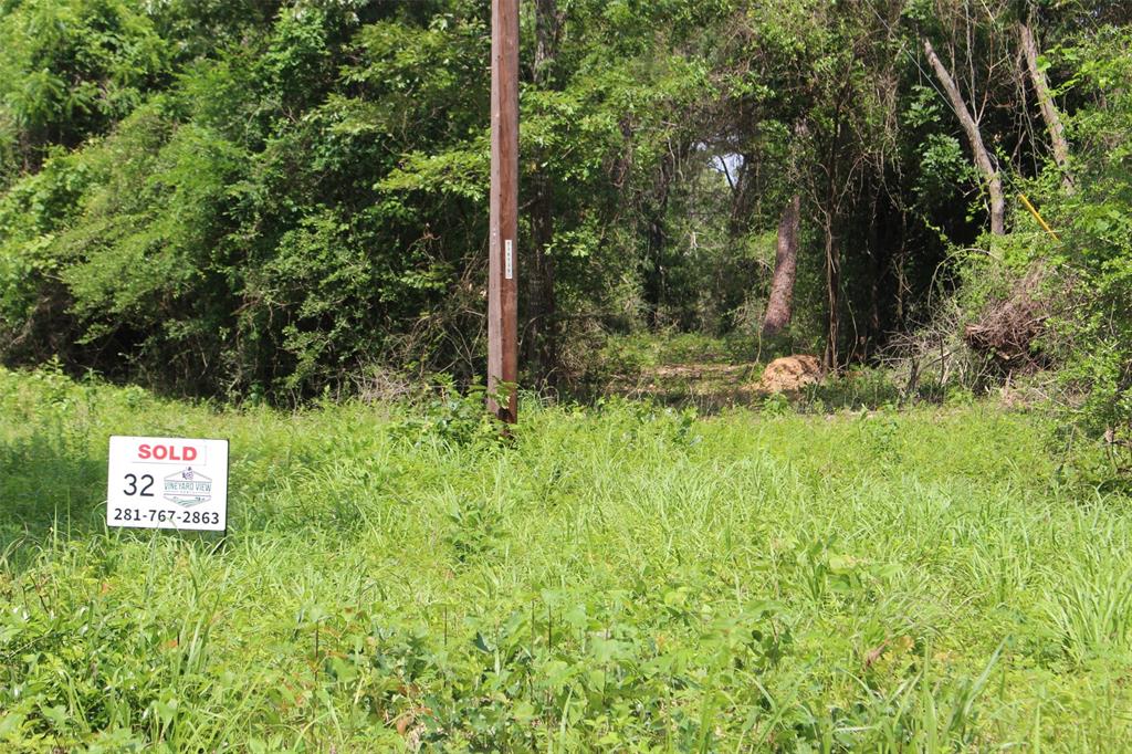 Tract 32 County Road 2170, Grapeland, Texas image 4