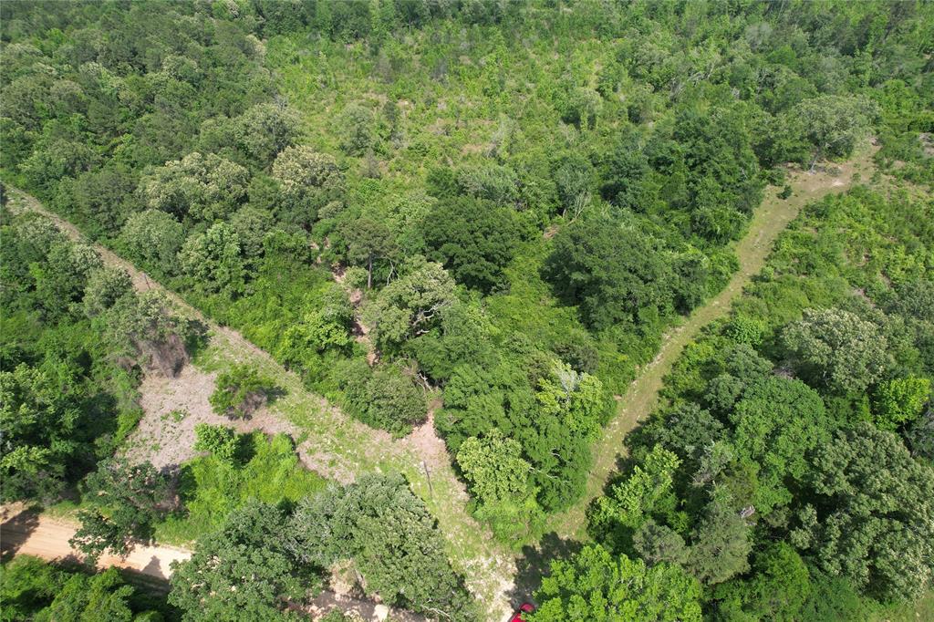 Tract 32 County Road 2170, Grapeland, Texas image 15