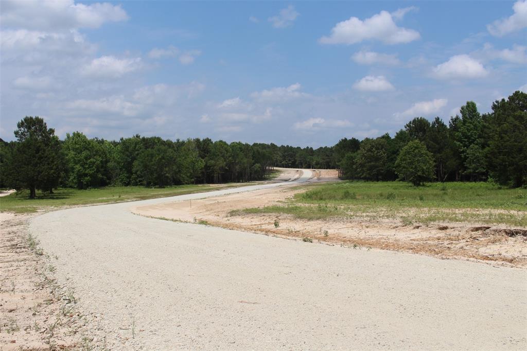 Tract 32 County Road 2170, Grapeland, Texas image 3