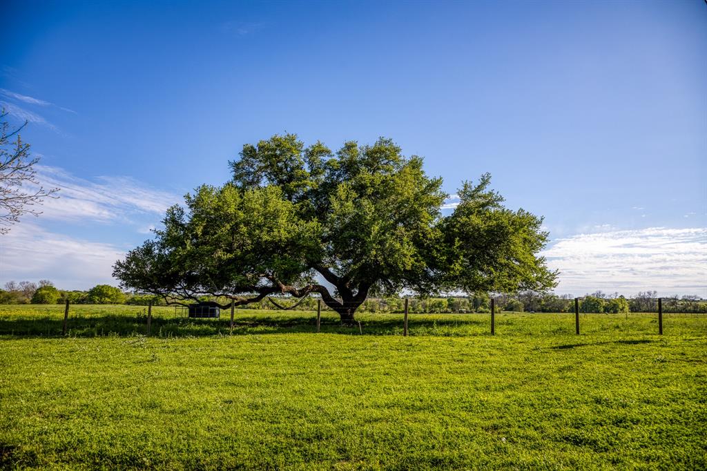 6902 Fm 50, Brenham, Texas image 16