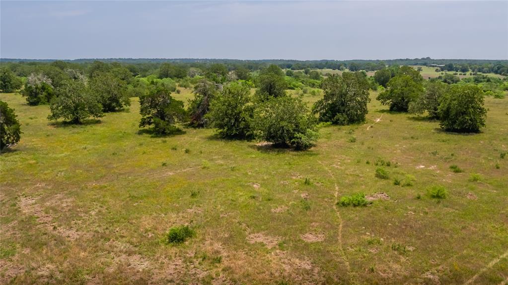 Branecky Road, Flatonia, Texas image 19