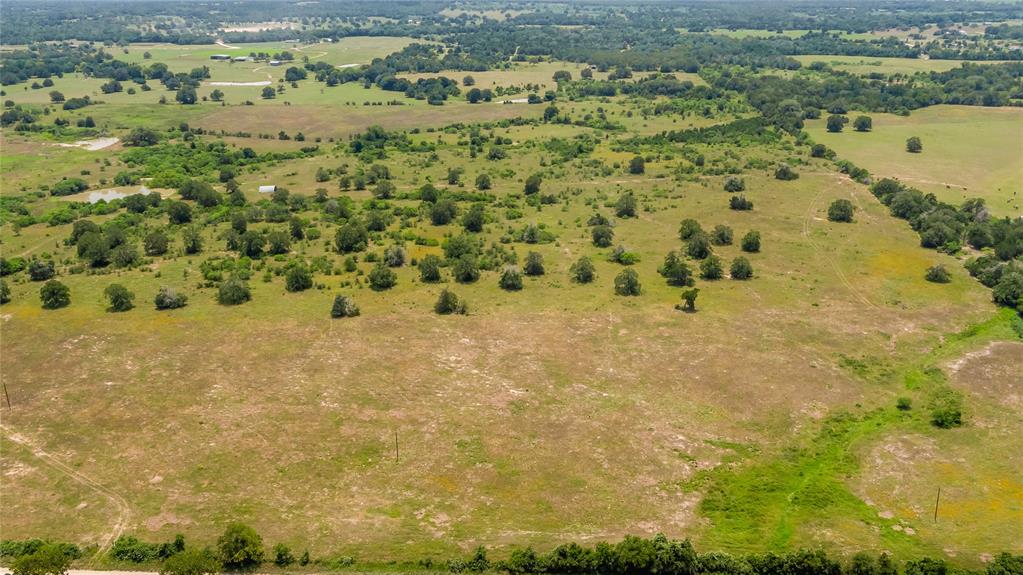 Branecky Road, Flatonia, Texas image 18