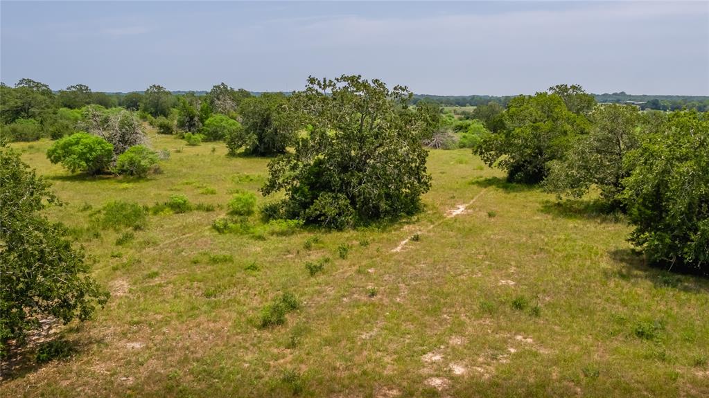 Branecky Road, Flatonia, Texas image 20