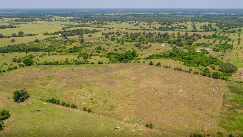 Branecky Road, Flatonia, Texas image 13