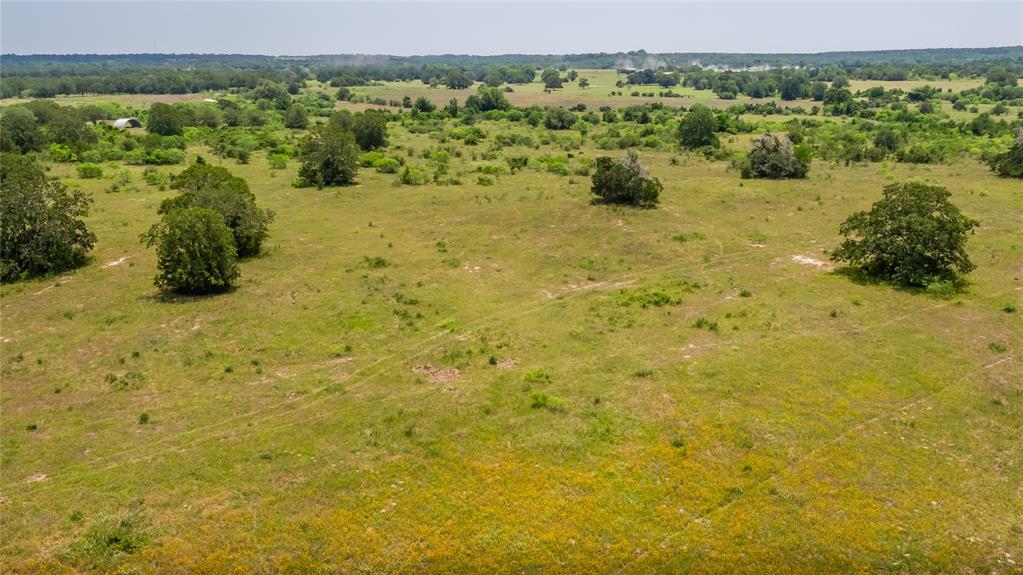 Branecky Road, Flatonia, Texas image 6