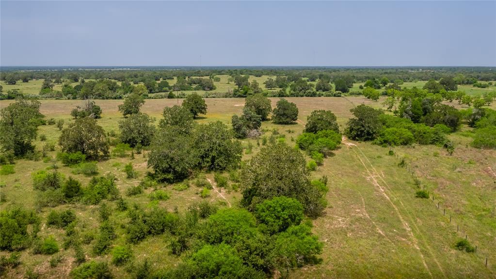 Branecky Road, Flatonia, Texas image 4