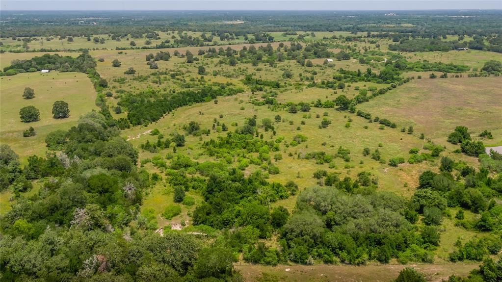 Branecky Road, Flatonia, Texas image 8