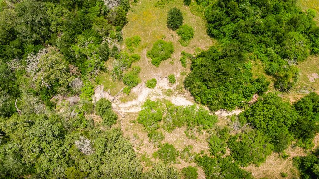 Branecky Road, Flatonia, Texas image 9