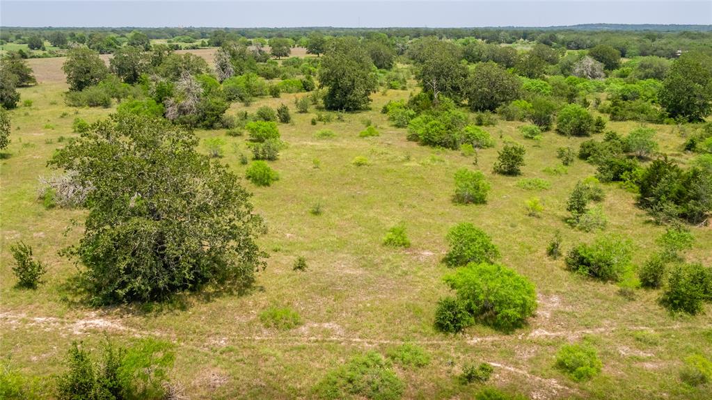 Branecky Road, Flatonia, Texas image 21
