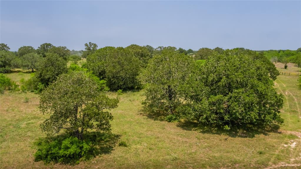 Branecky Road, Flatonia, Texas image 16