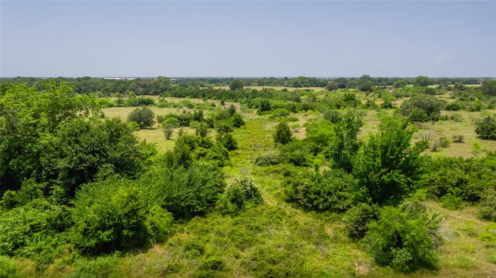 Branecky Road, Flatonia, Texas image 14